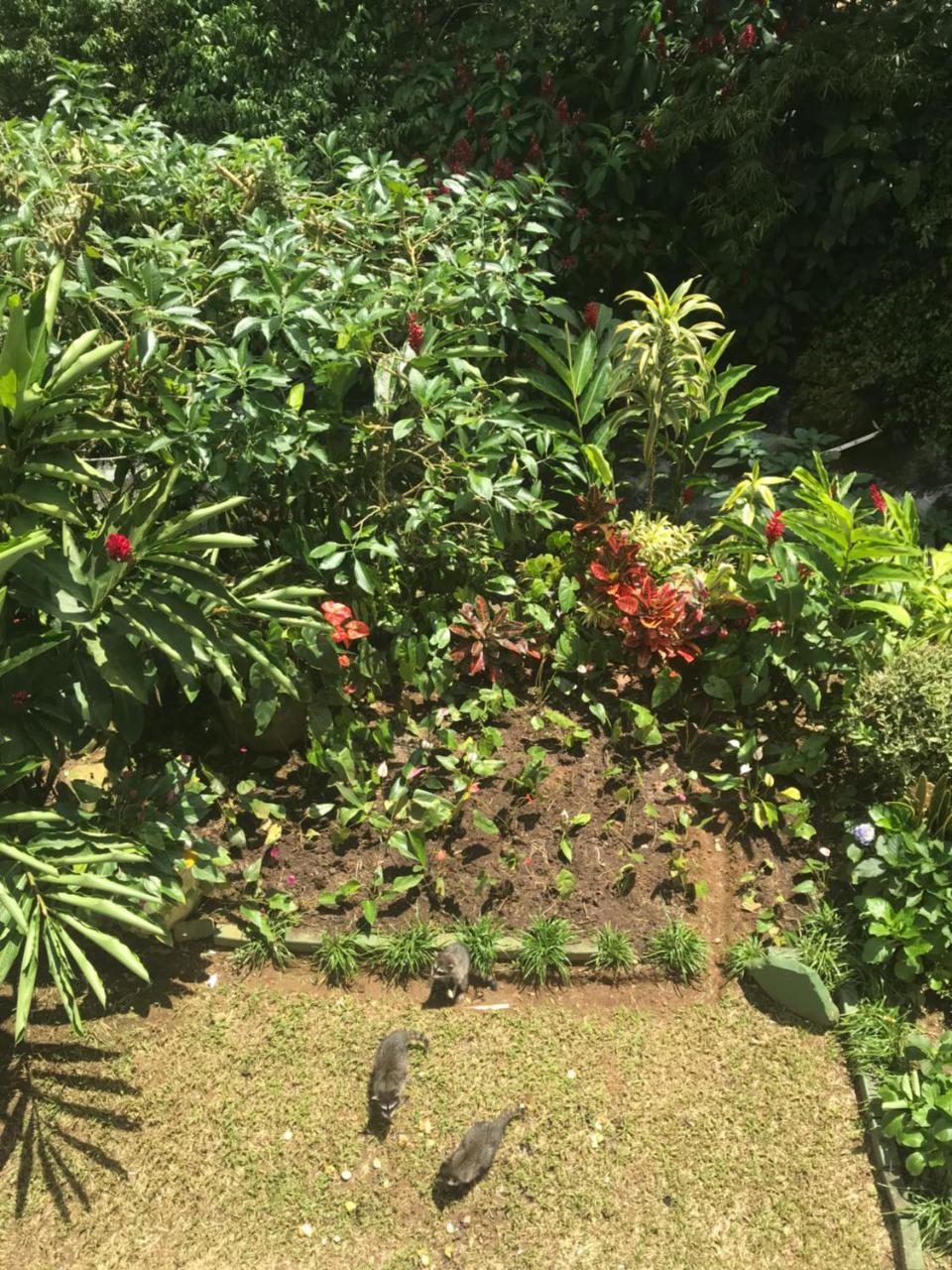 Hospedaje Angeluz Quesada  Luaran gambar